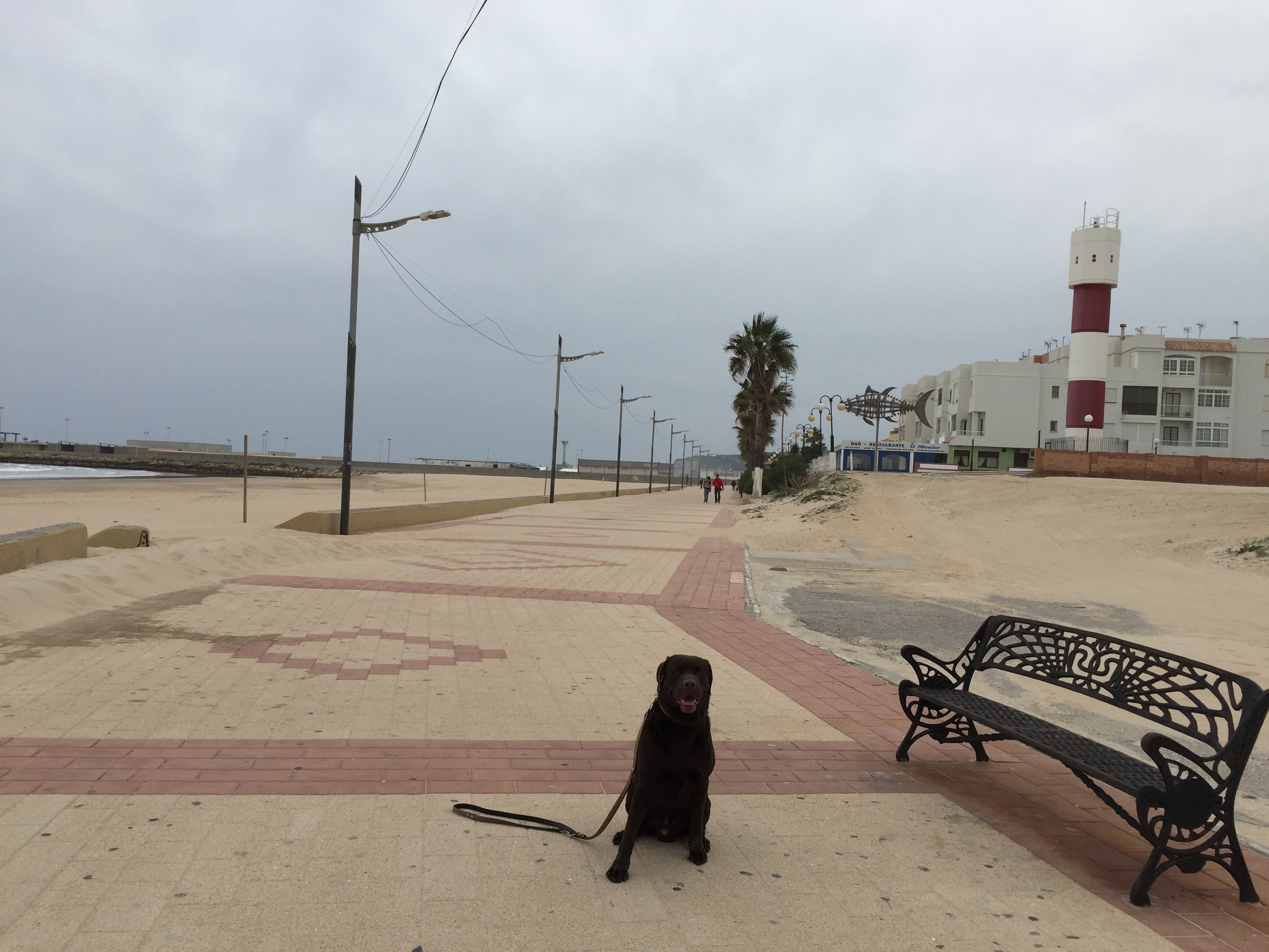 Ben auf der Strandpromenade von Barbate. Im Hintergrund der Leuchtturm und das Thunfischzeichen der Fischerd&ouml;rfer La Jandas.