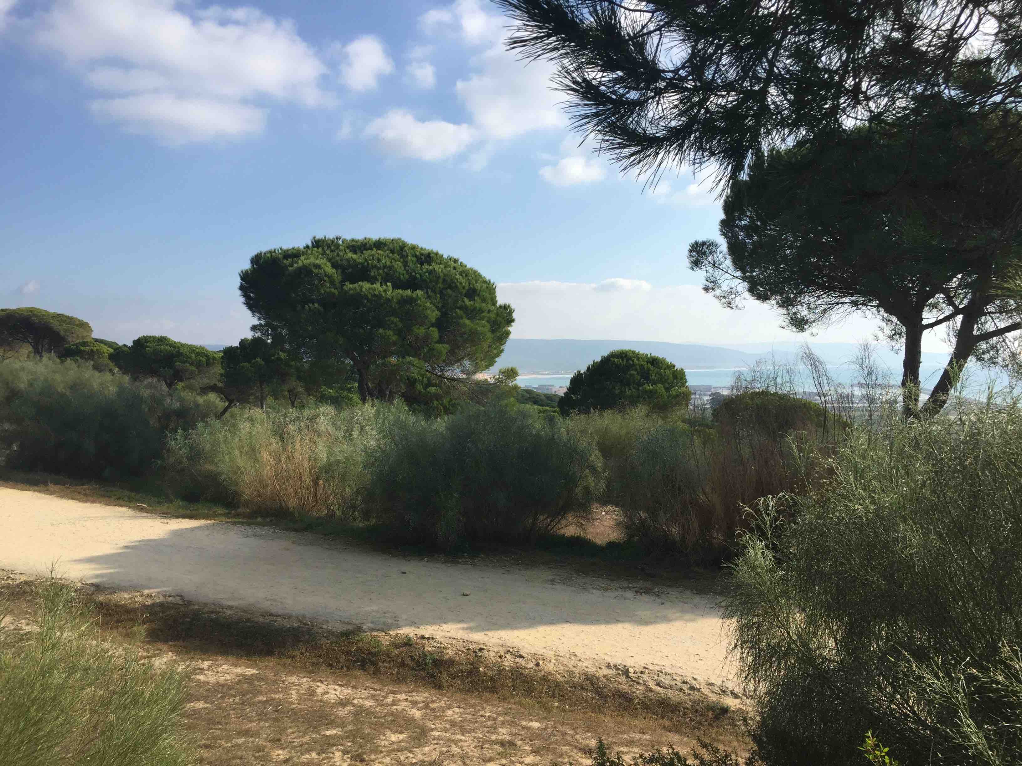 Blick auf die Bucht von Barbate vom Nationalpark de la Brena aus. Wundersch&ouml;n!