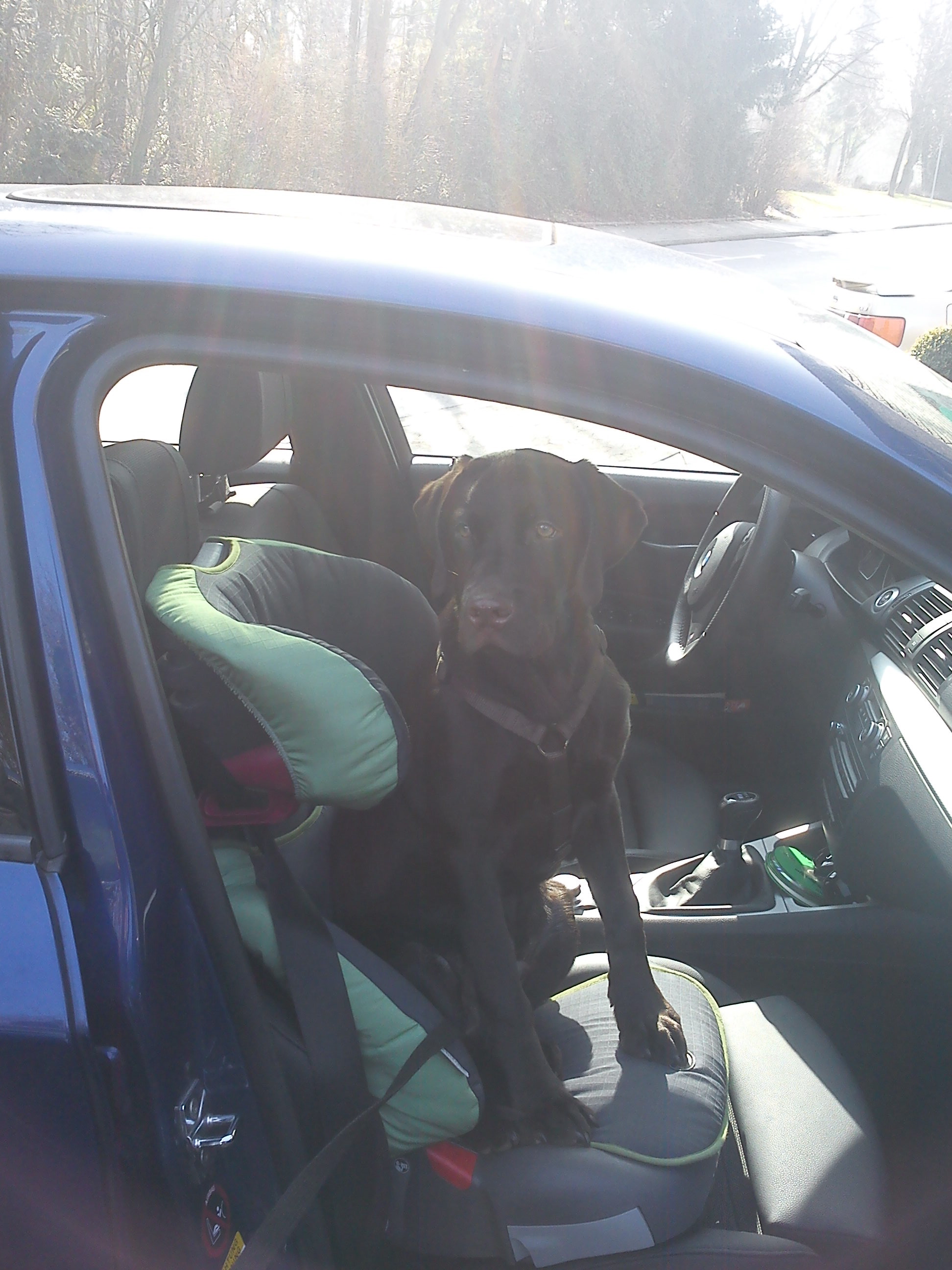 Das waren noch Zeiten, als Ben in Justus Kindersitz passte... Heute braucht er einen ganzen Kofferraum