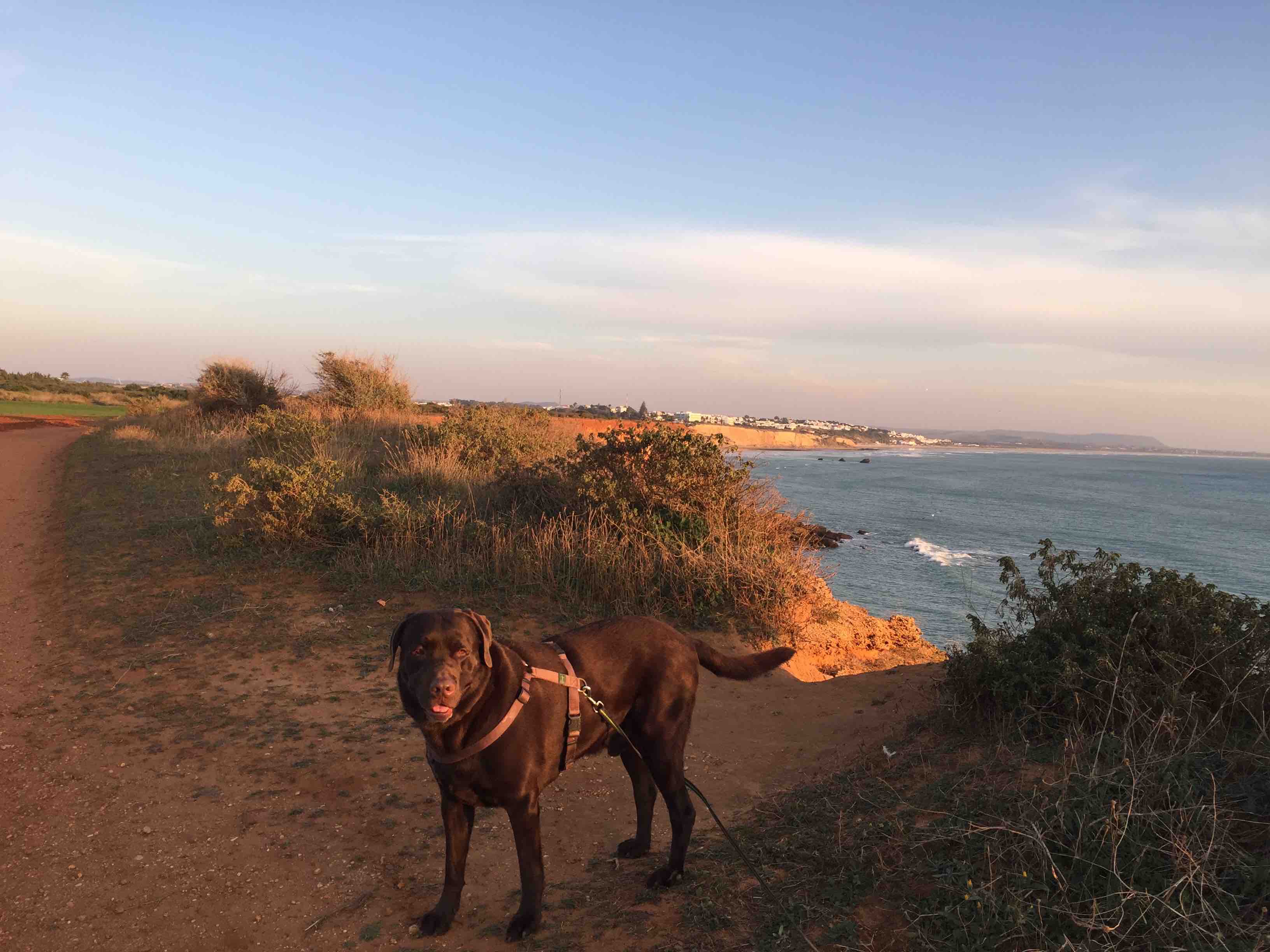Fantastisch romantisch und gigantisch - das ist unsere Abendgassirunde
