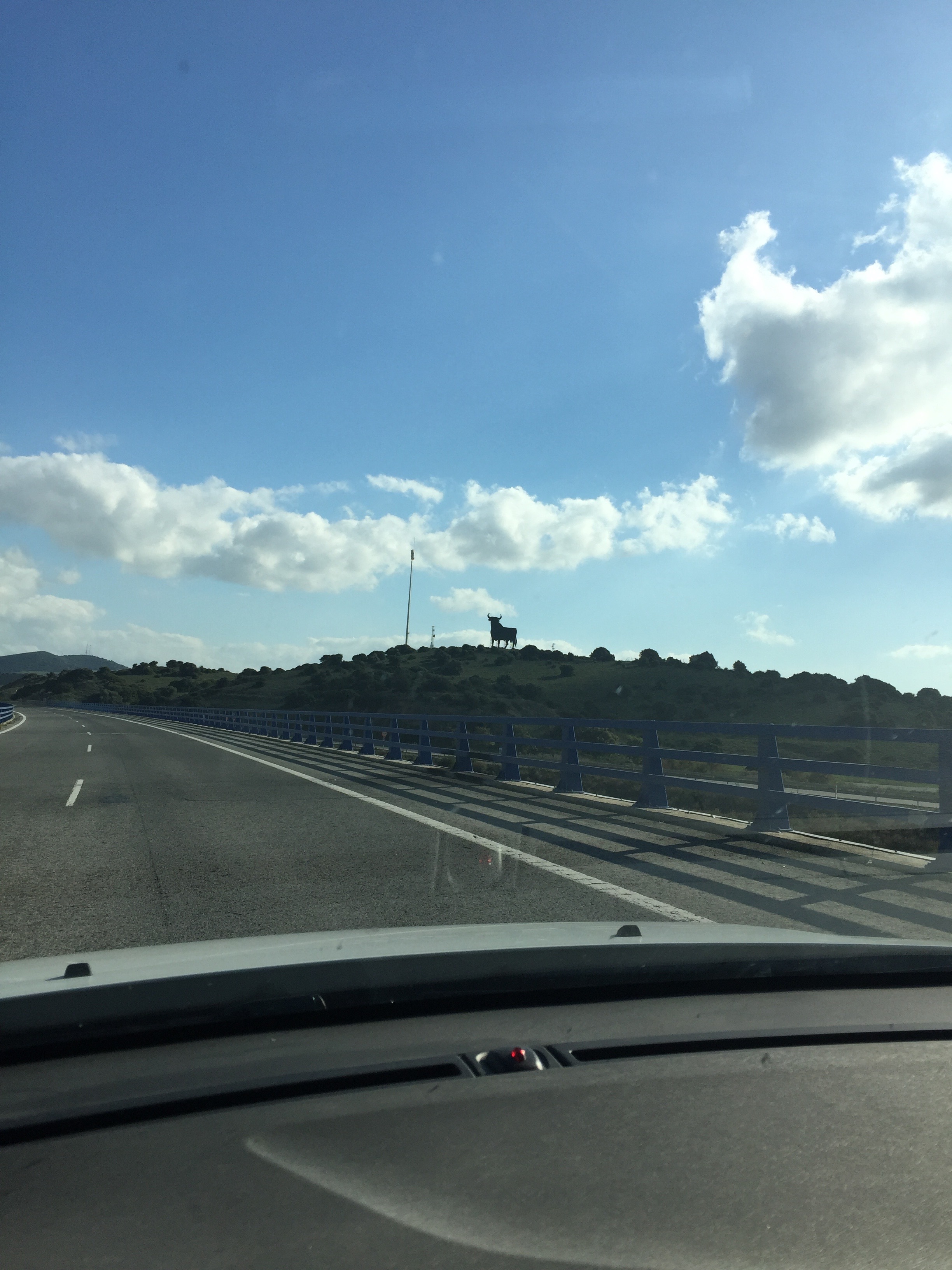 Der Torro ist &uuml;berall zu finden