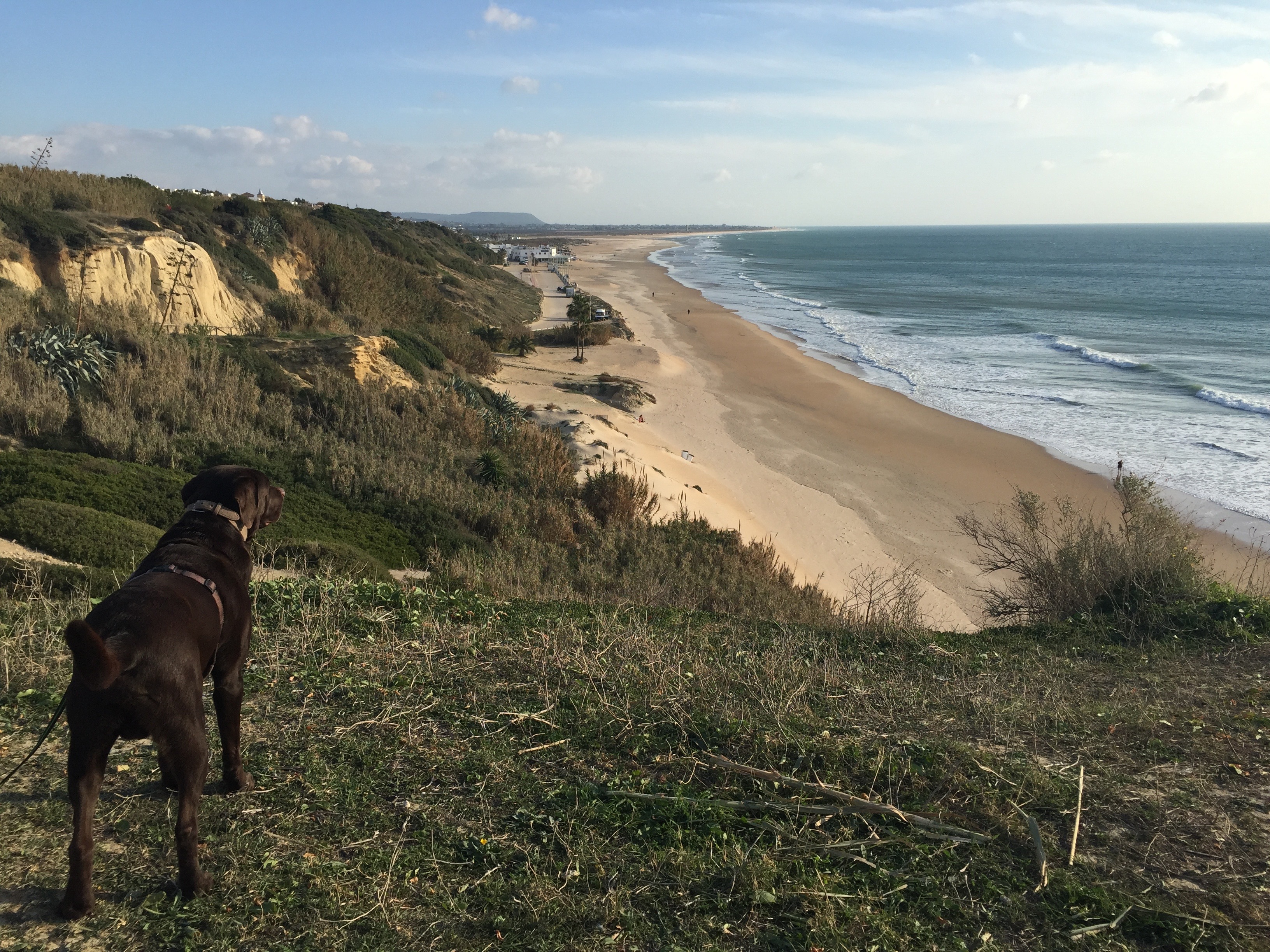 Der Blick von El Roche aus nach Conil zum Playa de la Fontanilla