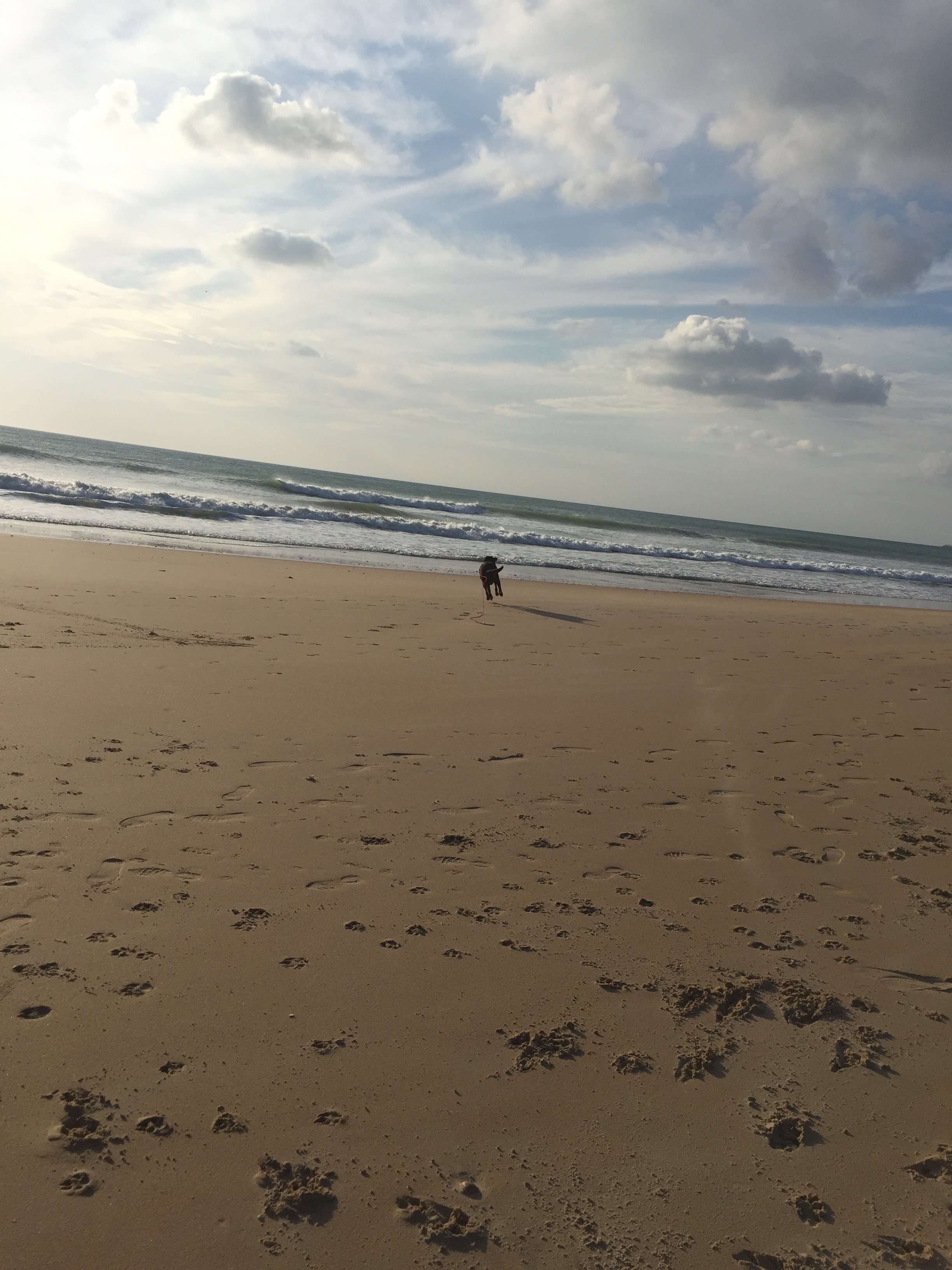 Ben schwebte vor Freude als wir am Playa de la Fontanilla ankamen