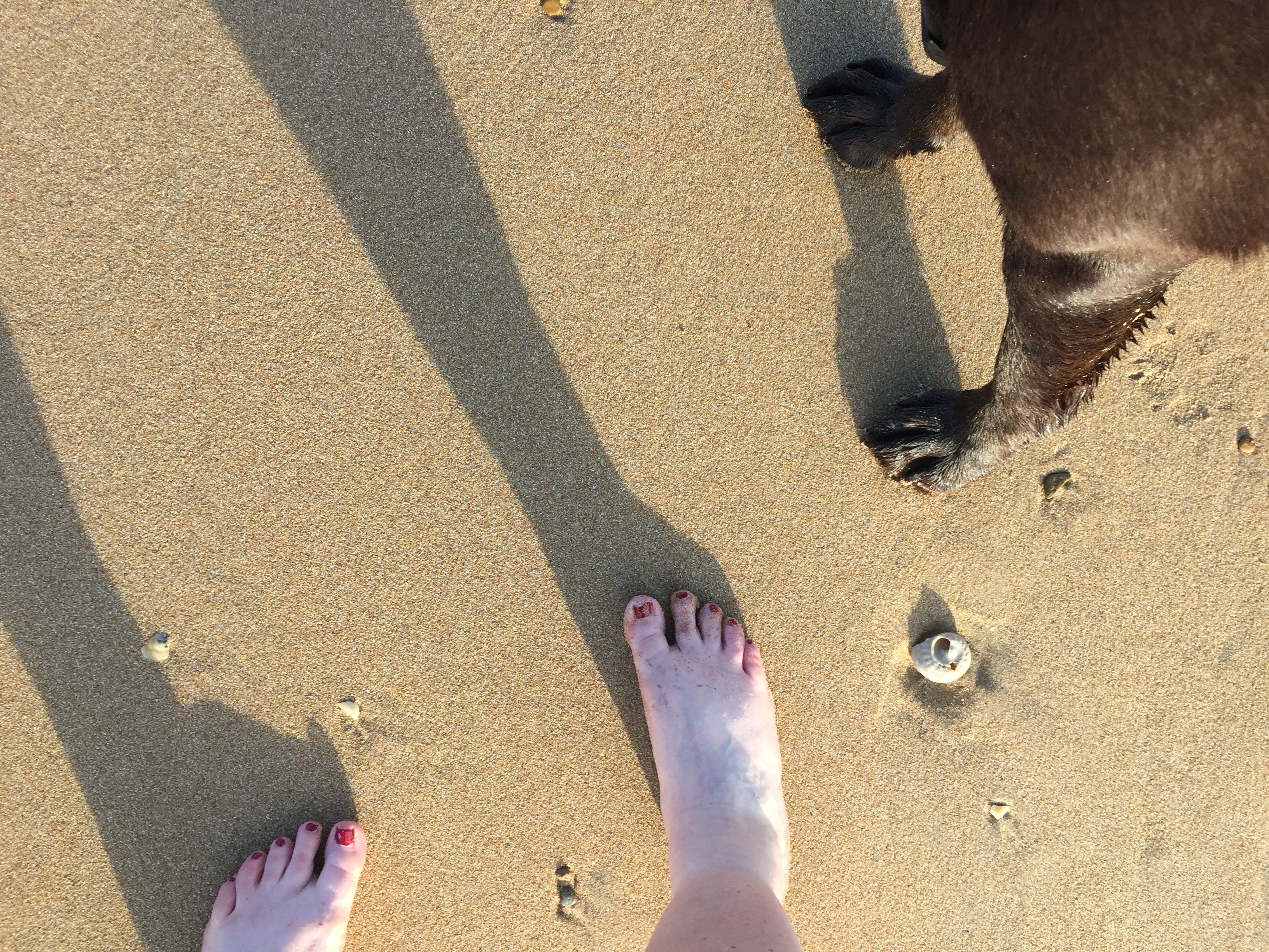 Ein wenig kalt ist es schon, aber einfach das tollste Gef&uuml;hl der Welt...