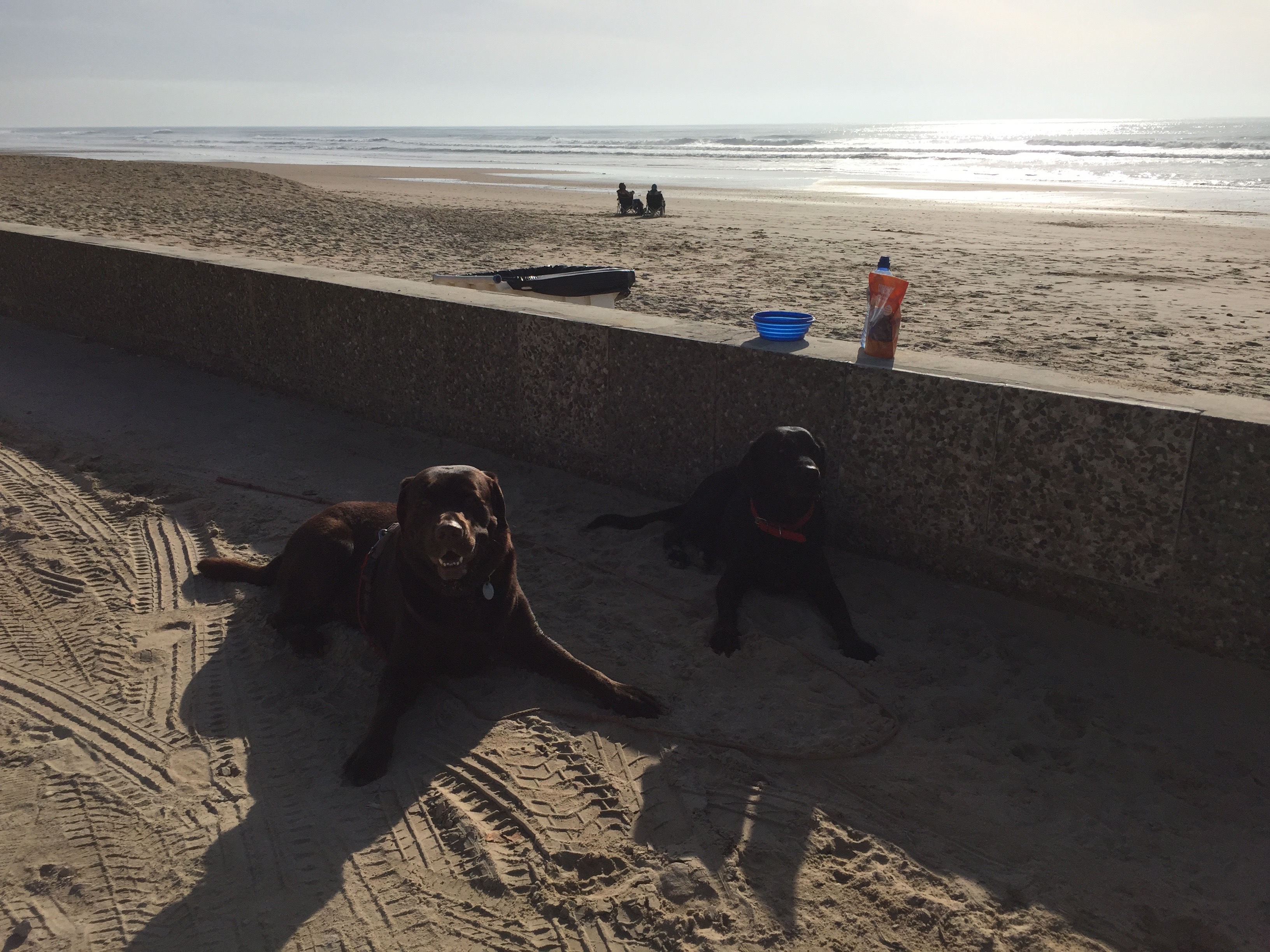 Bens Freundin Mora am Strand Fontanilla