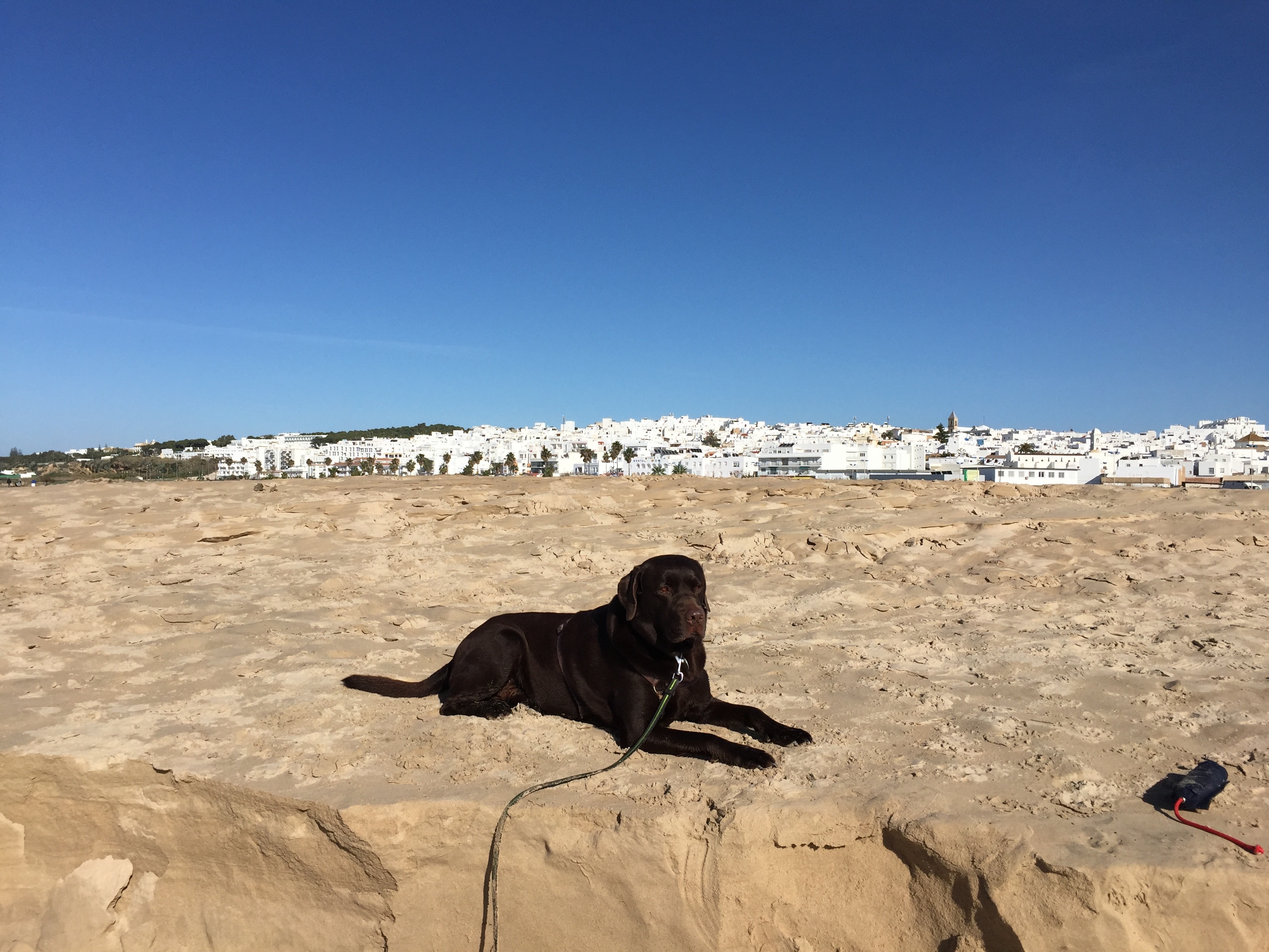 Auch Ben hat die Zeit am Strand sichtlich genossen.