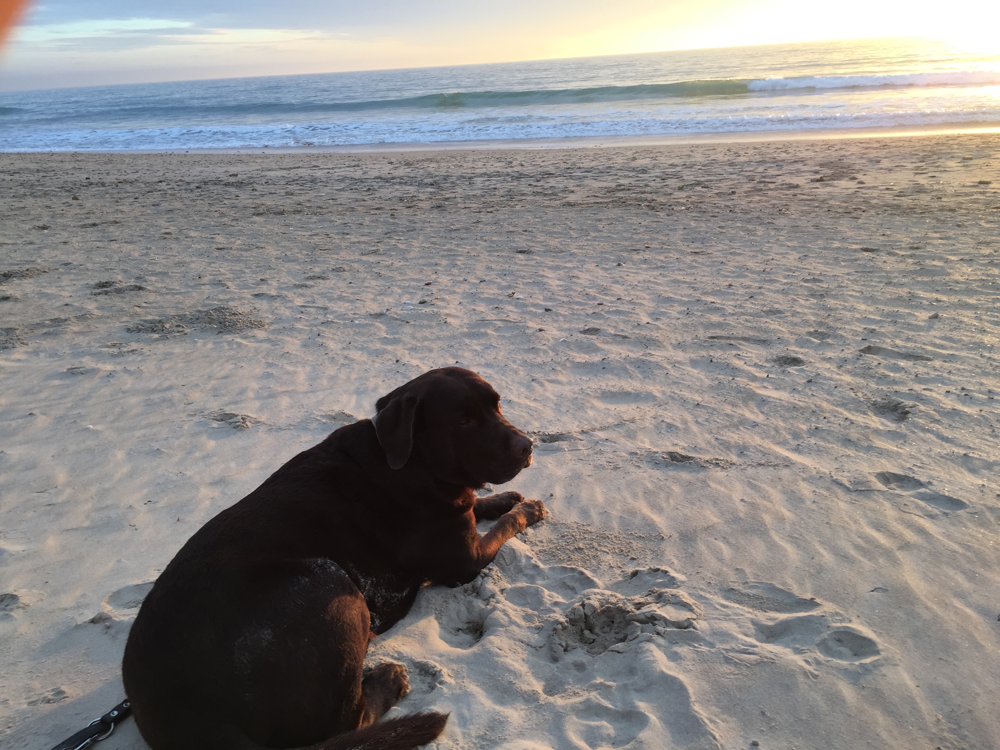 Abends, wenn wir uns den Sonnenuntergang am Strand angeguckt haben, habe ich Ben fast nie mehr wegbekommen :-D