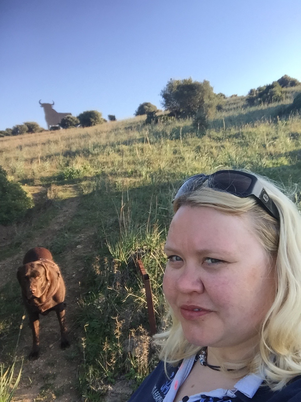 Drei Stiere auf einem Bild: Den spanischen Stier werde ich vermissen...