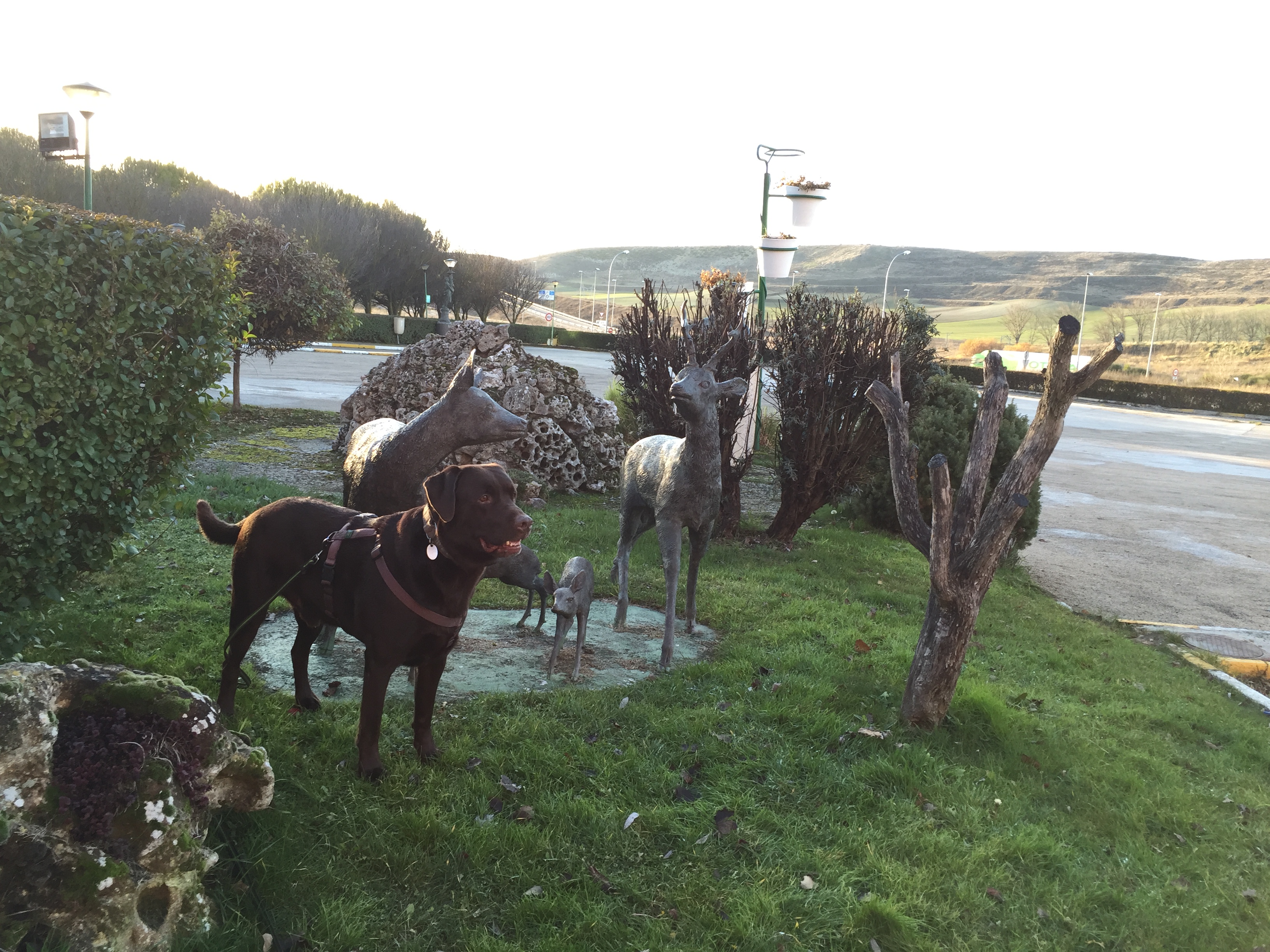 Vor dem nicht so sch&ouml;nen Hotel ist wenigstens ein sch&ouml;ner Garten