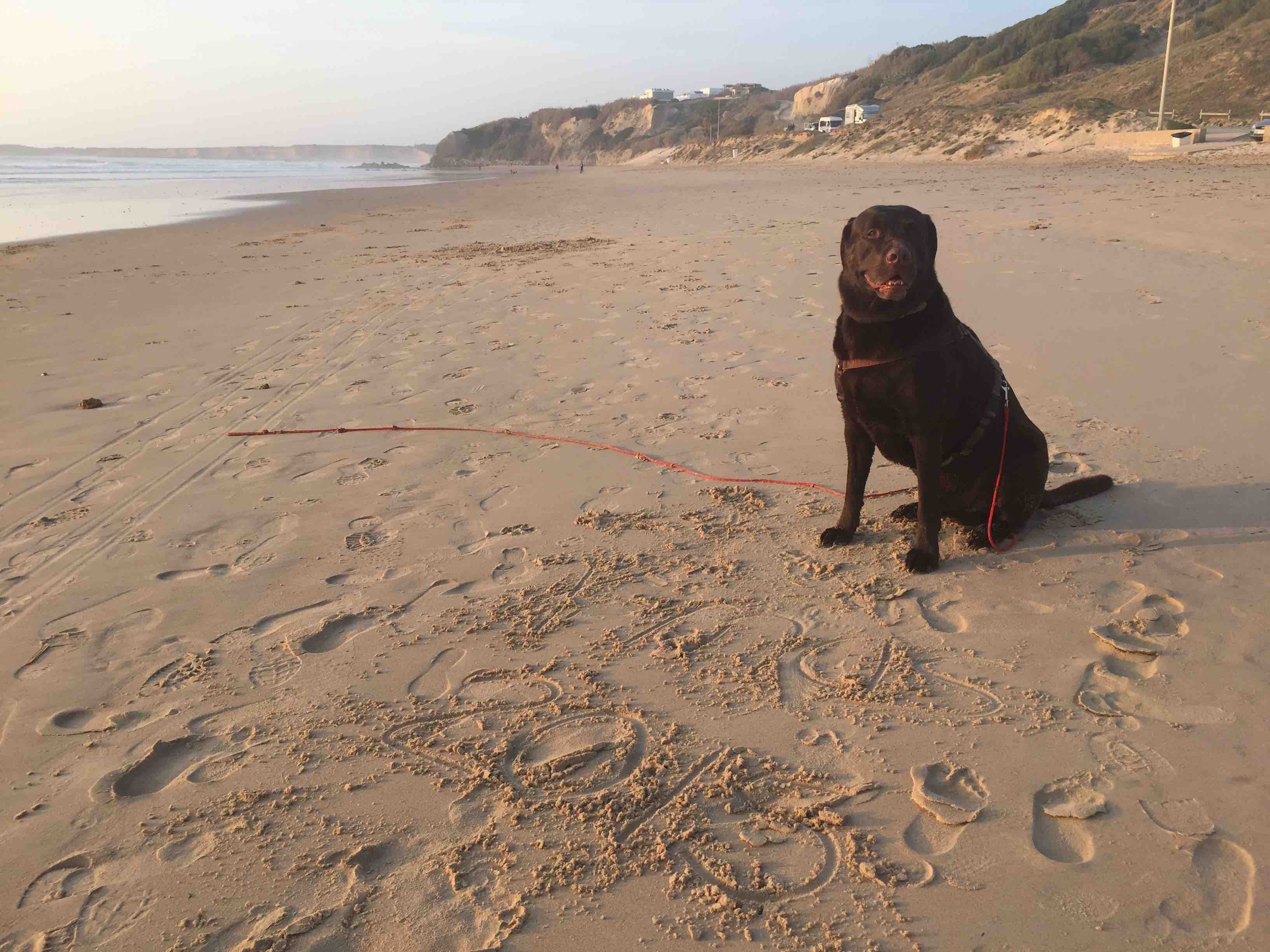 Am Playa Fontanilla feiern wir Heiligabend 2015.