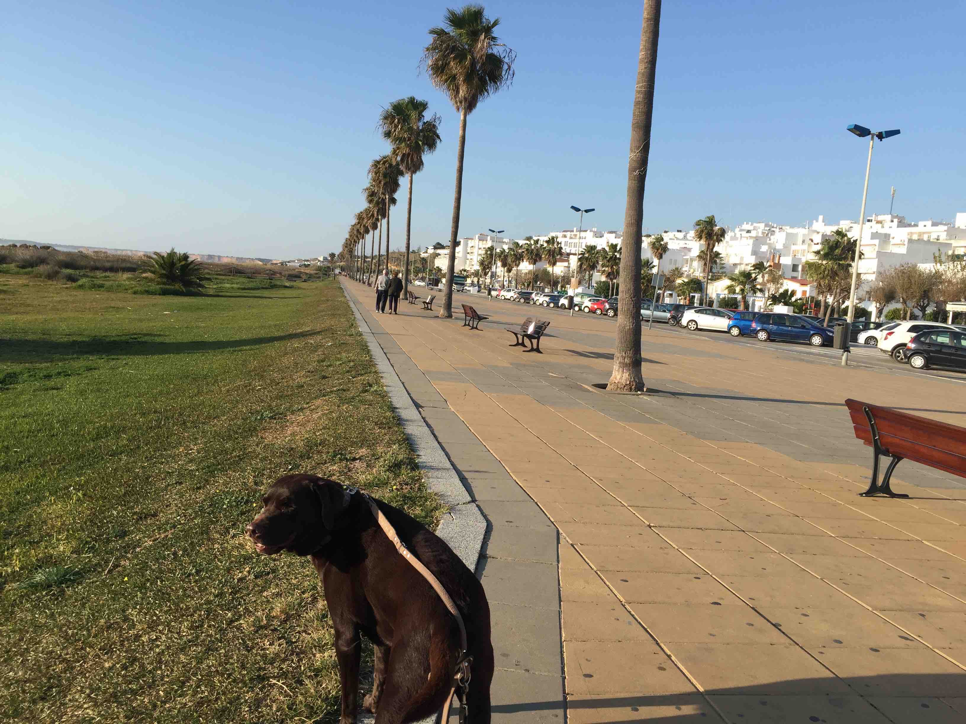 Die wundersch&ouml;ne Strandpromenade von Conil. 